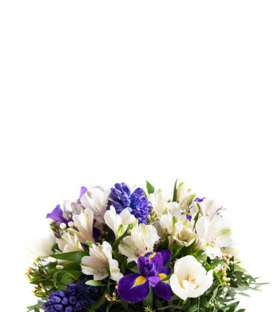 istock Flower composition. White and purple spring flowers isolated on a white background. Vertical orientation. Copy space. 1305975329