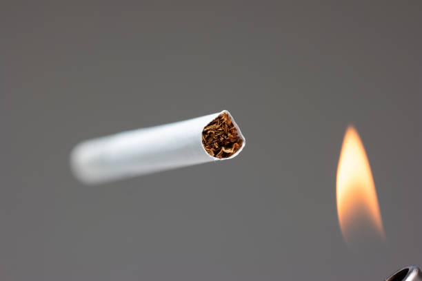 istock Single white unlit cigarette close up macro studio shot and lighter flame isolated on gray background shallow depth of field 1305975833