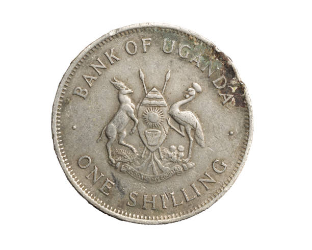 istock A Uganda coin shilling on a white isolated background 1305977850