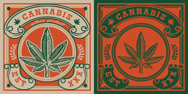 ilustraciones, imágenes clip art, dibujos animados e iconos de stock de emblema vector de la hoja de cannabis - planta de cannabis