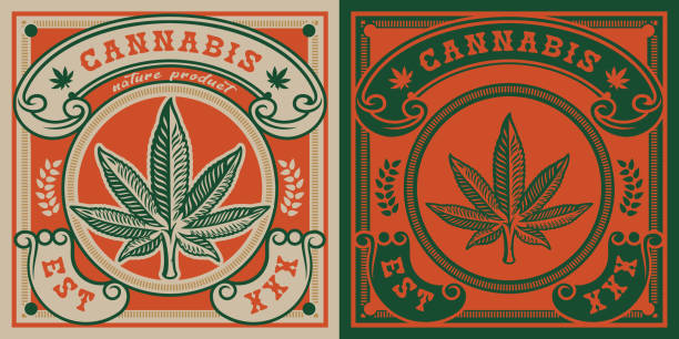 ilustrações, clipart, desenhos animados e ícones de emblema vetorial da folha de cannabis - marijuana plant