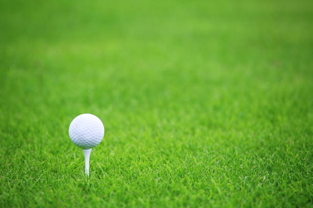 istock Golf ball on green grass background 1305979535