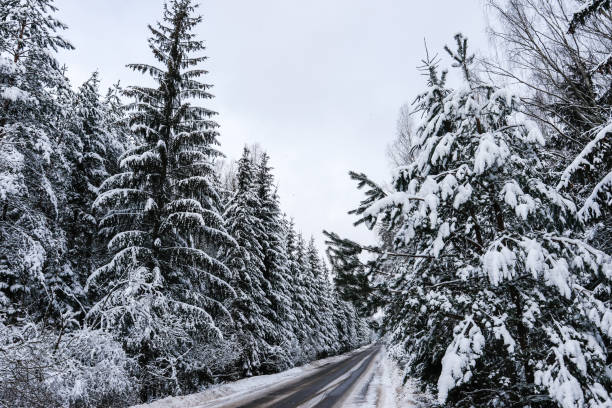 istock Cold Winter Road In The Forest In Belarus 1305981751