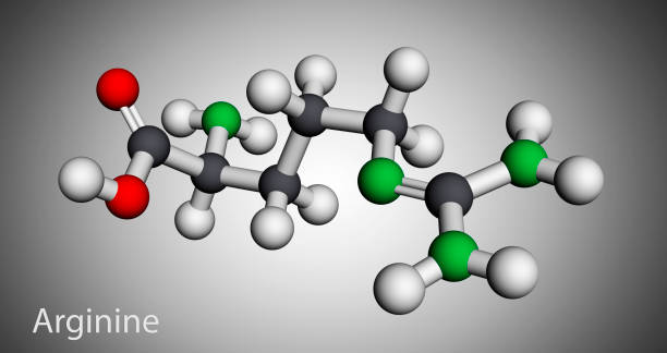 istock Arginine, L-arginine, Arg, R essential amino acid molecule, it is used in the biosynthesis of proteins. Molecular model. 3D rendering 1305983408