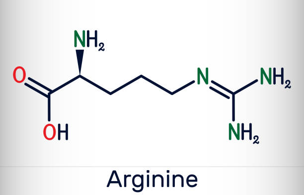 ilustrações de stock, clip art, desenhos animados e ícones de arginine, arg, l-arginine, r essential amino acid molecule, it is used in the biosynthesis of proteins. skeletal chemical formula - molecule amino acid arginine molecular structure