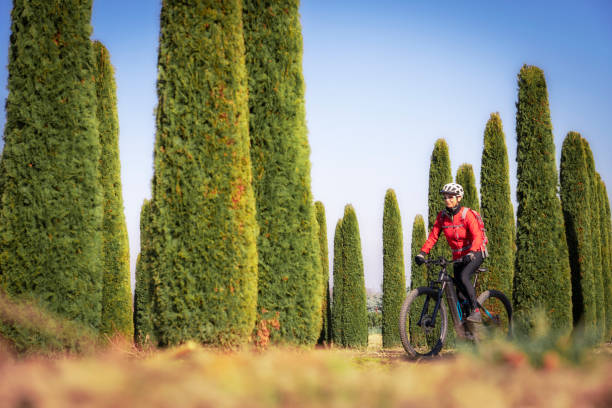 mujer en bicicleta de montaña eléctrica en bosque de ciprés - italian cypress tree cypress tree sunlight fotografías e imágenes de stock