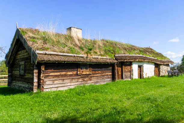 istock Idyllic old log cottage with thatched roof 1305986115