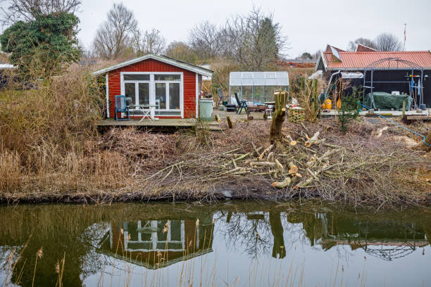 Allotment house in a small allotment area in Valby, which is suburb in Copenhagen. Allotment gardens is an important part of Danish culture, but the use has changed from growing vegetables to larger and lager houses - sometimes they change to full time homes