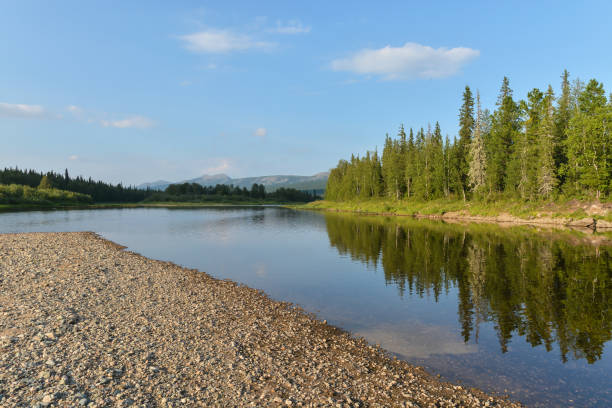 istock Summer in the Northern Urals. 1305988422
