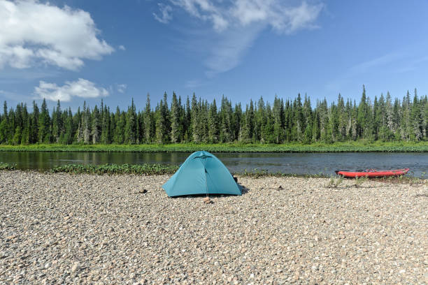 istock Summer in the Northern Urals. 1305988432
