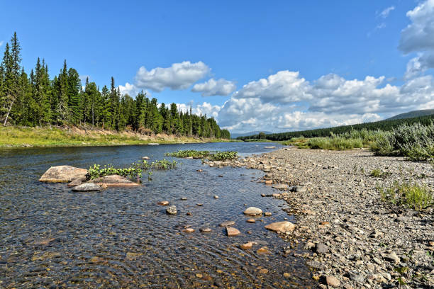 istock Summer in the Northern Urals. 1305988549