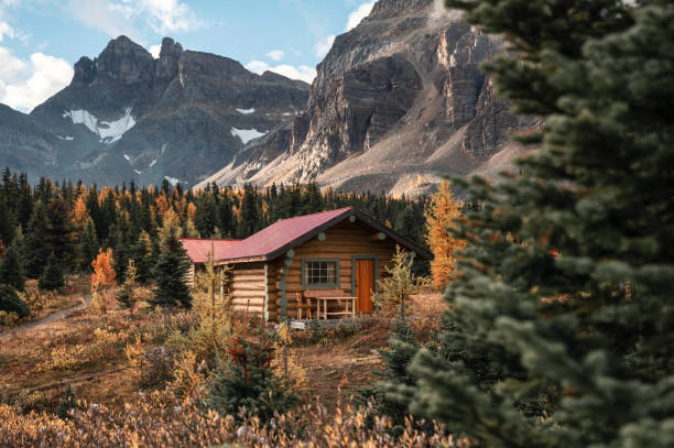 cabañas de madera con montañas rocosas en el bosque otoñal en el parque provincial de assiniboine - cabaña fotografías e imágenes de stock