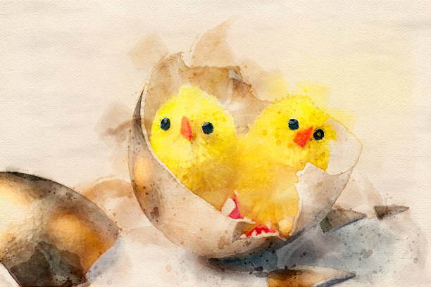 watercolor of a chicks with golden eggs - wealth eggs animal egg easter egg imagens e fotografias de stock