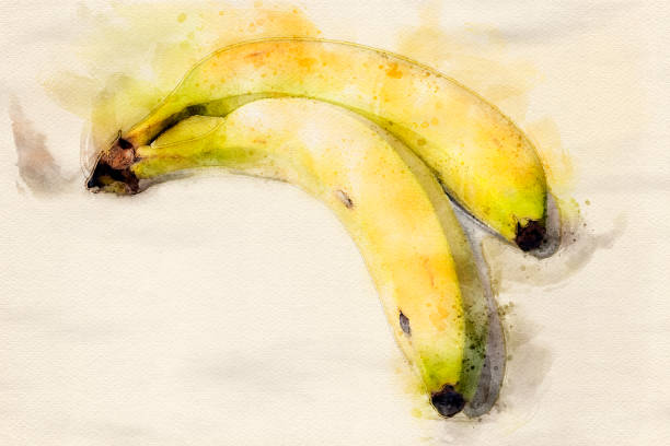 Watercolor of a Bananas