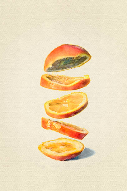 Watercolor of a Sliced Orange