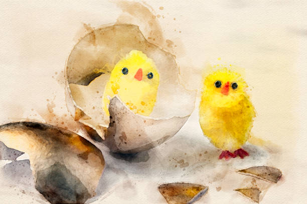 Watercolor of a Chicks with Golden Eggs