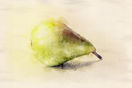 Watercolor of a Pear