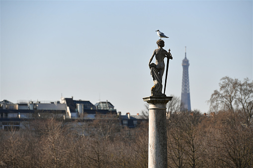 Paris, France-03 07 2021:Bird on a top of a statue in the Luxembourg garden in Paris, France. and the Eiffel tower in the background.