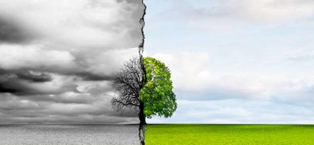 istock Climate change from drought to green growth 1305994695