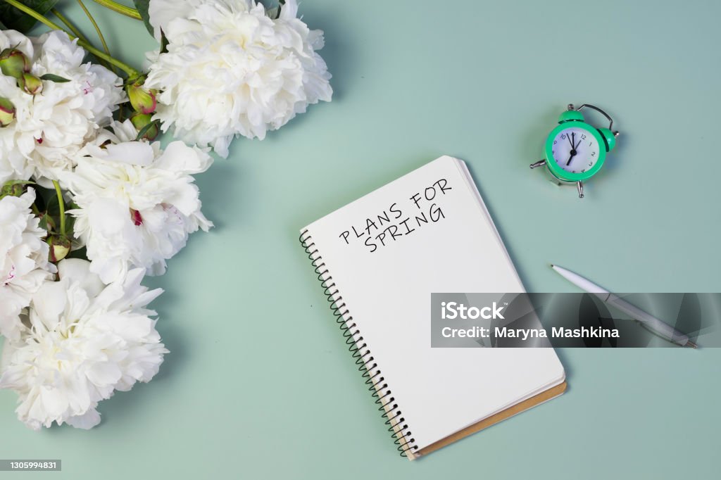 open notebook for writing plans, to-do list or dreams with fresh peonies, alarm clock, on light green background. open notebook for writing plans, to-do list or dreams with fresh peonies, alarm clock, on light green background Springtime Stock Photo