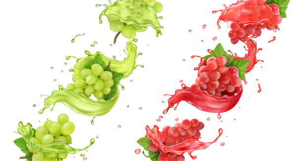 주스에 빨간색과 흰색 포도가 사실적으로 튀깁니다. - grape bunch cabernet sauvignon grape isolated stock illustrations