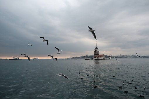 The maiden's tower (kiz kulesi) in istanbul, Turkey during overcast weather with sunshine reflection ans sunset in bosporus sea. Groups of seagulls flying on sea. istanbul Turkey 01.03.2021 and istanbul silhouette background.