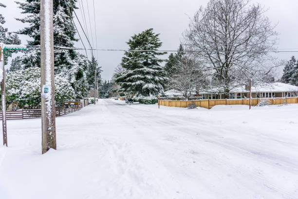 istock Snow In The Neighborhood 1306004564