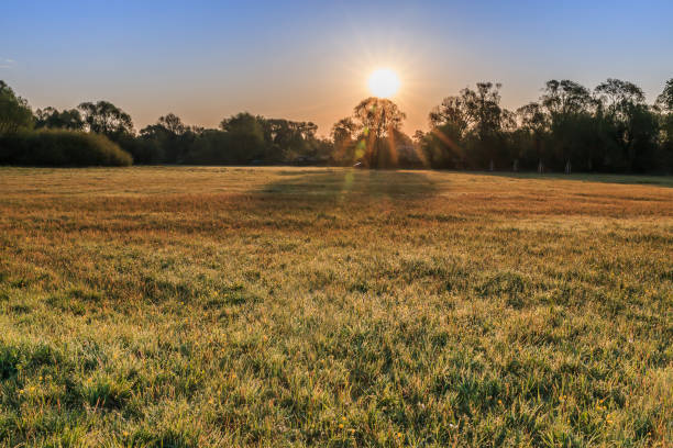 istock morning sun over a meadow with trees 1306004701