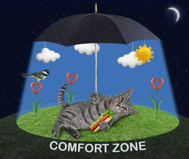 istock Cat with hot dog lying on grass 1306004807