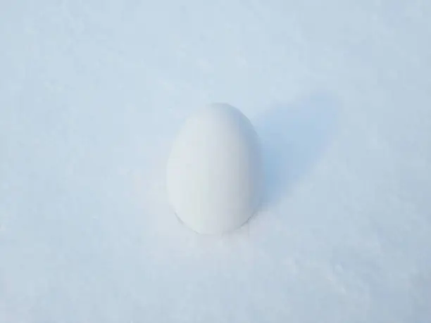 Photo of Chicken egg