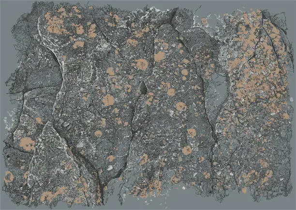 Vector illustration of Rock Surface with Lichen