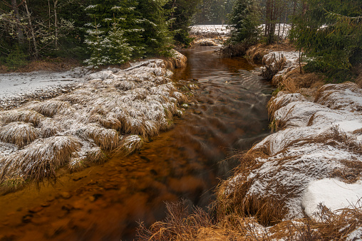 Svetla creek in winter snowy cold morning with sunshine color light