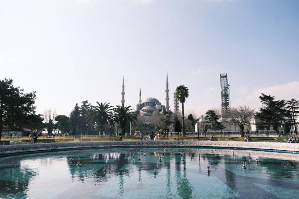 hagia sophia mosque (old museum and church) - museum monument silhouette tree imagens e fotografias de stock