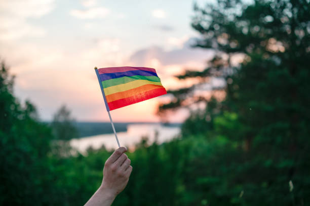 a hand waves a colorful gay pride lgbt rainbow flag at sunset on a natural landscape in summer. - gay pride flag fotos imagens e fotografias de stock