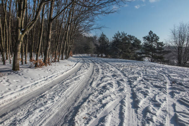 istock ice shell on a lake covered with snow on a sunny winter day as a background 1306016179
