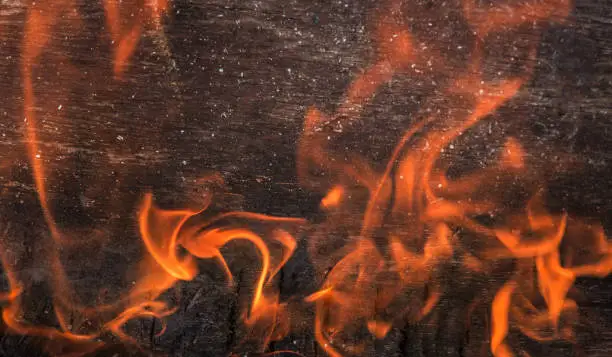 flamed wooden surface close-up