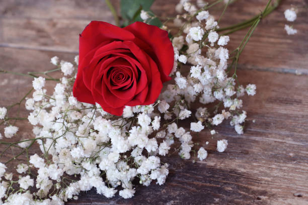 One red rose on wooden table