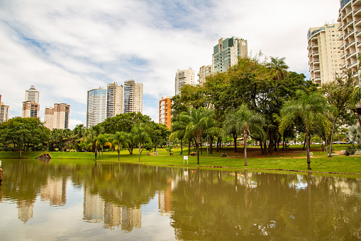 Goiania, Goias, Brazil – March 08, 2021: Detail of the Lake of the Flamboyant Park and the nearby buildings in the background on a cloudy day.