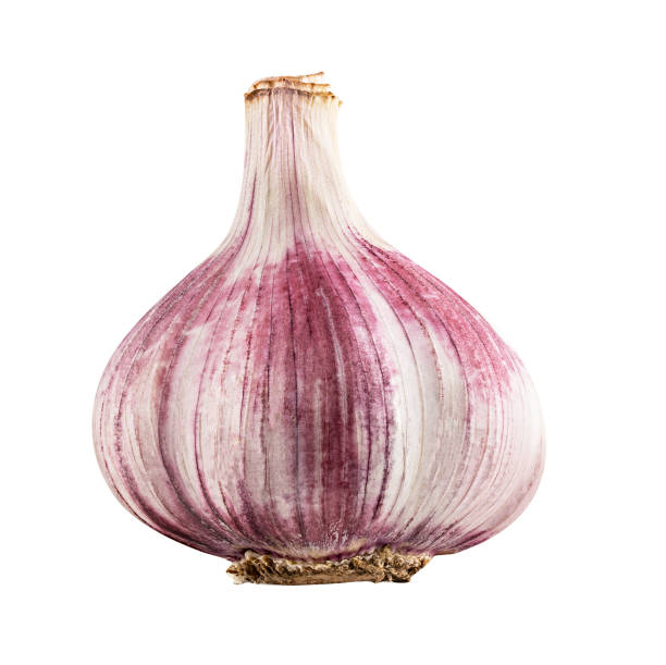 istock Garlic isolated on white background with clipping path 1306020960