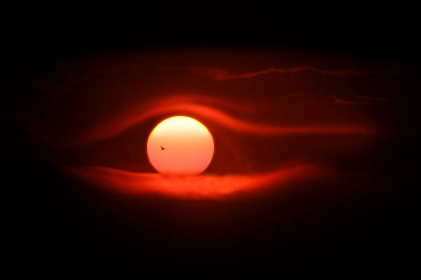 large setting sun with a seagull in the background similar to a human eye