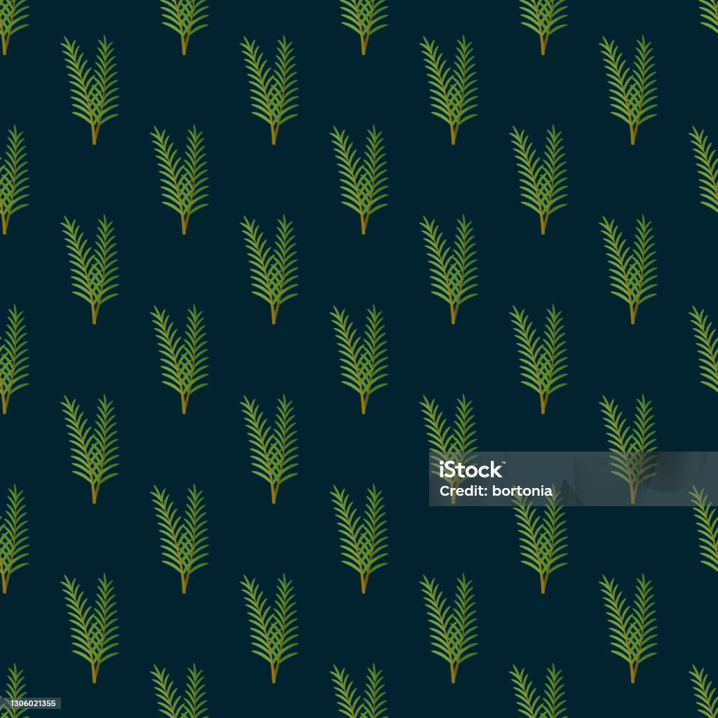 Rosemary Pattern Color Rosemary Herb Pattern Stock Illustration - Download Image Now ...