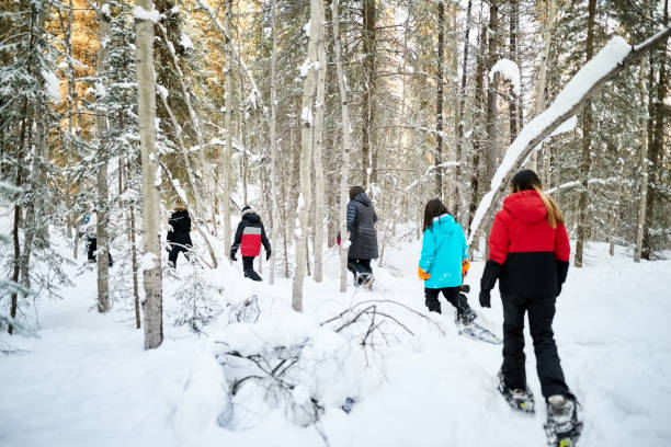 grupo de alunos aprendendo a snowshoe em uma escola - snowshoeing winter sport snowshoe hiking - fotografias e filmes do acervo