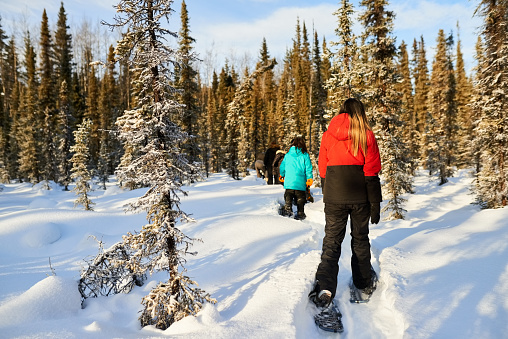 Rear view shot of girls in winter clothing and snow shoes walking through snowy field in forest