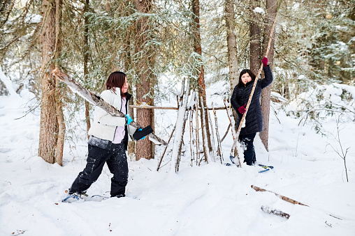 Girls making a shelter from tree branches in the snow
