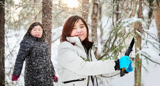 mädchen schneiden einen ast im winterwald - winter landscape canada branch stock-fotos und bilder