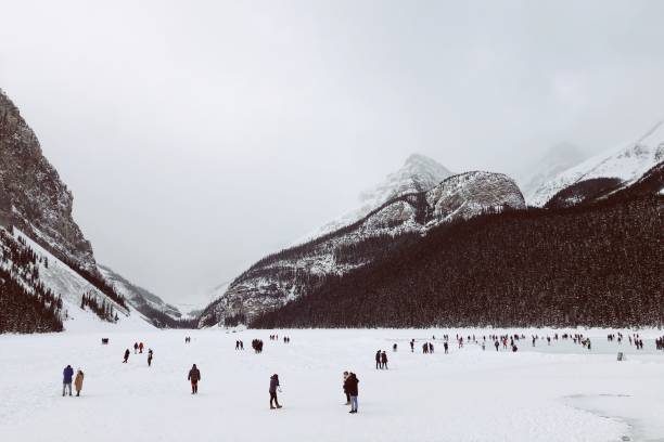 istock Lake Louise in Winter 1306033183