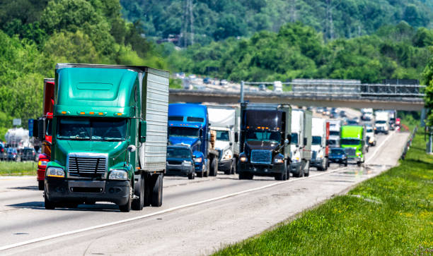 Minnesota Local Movers Near Me/Local Shipping Company