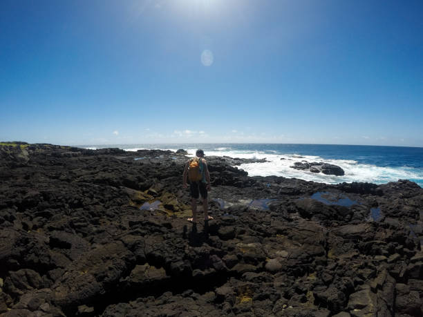 istock Awe and beauty on the Hawaiian Cliffs and Ocean 1306035947