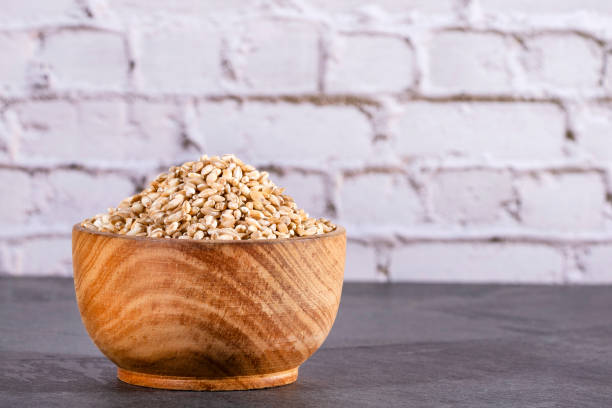 istock Hordeum vulgare - Raw Organic Pearl Barley. Text space 1306044770