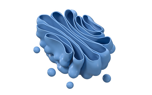 Aparato Golgi de la célula, vista de primer plano, renderizado en 3D. photo